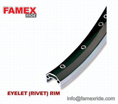 FAMEX RIDE Mountain Bike FRONT Wheel (Suitable For Disk and V Brake)