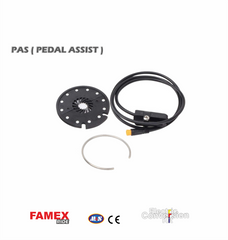 FAMEX Ride® Waterproof 48V 800W-1000W OFF-ROAD Integrated Rear Electric Bike Conversion kit