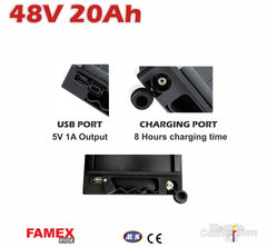 FAMEX RIDE® 48V20Ah E-bike Li-ion Rear Battery & Rack USB